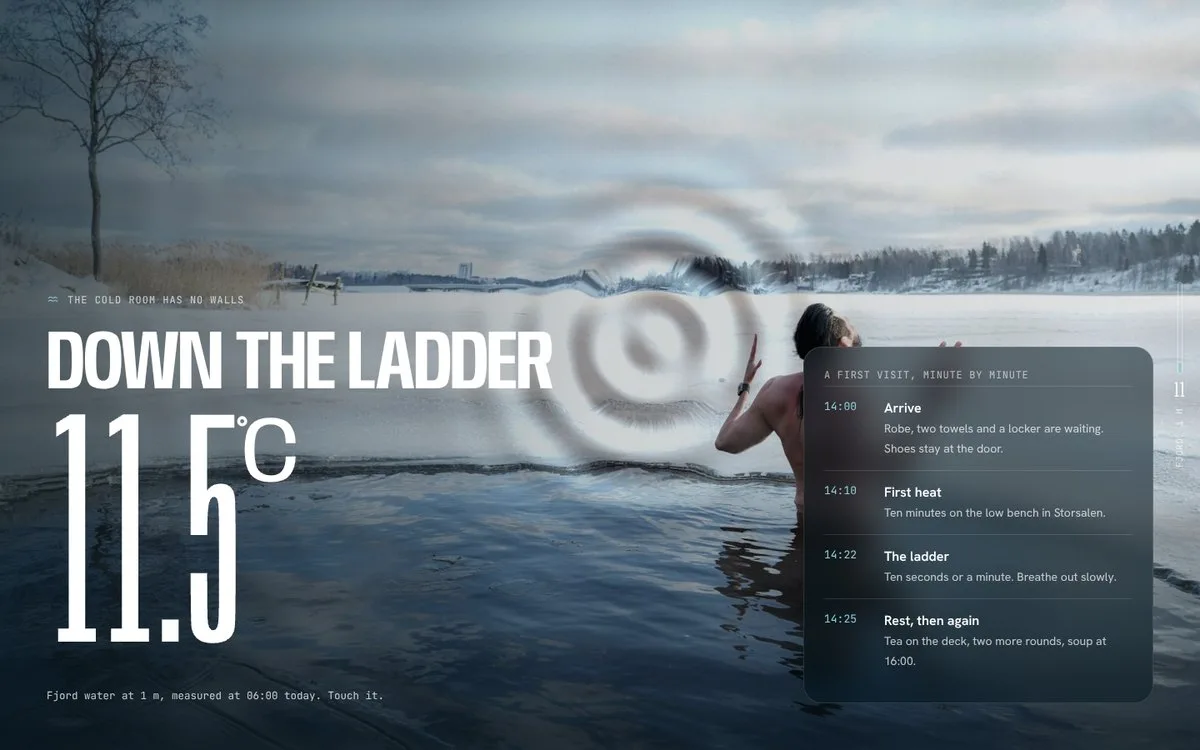 Alder: Touch the water