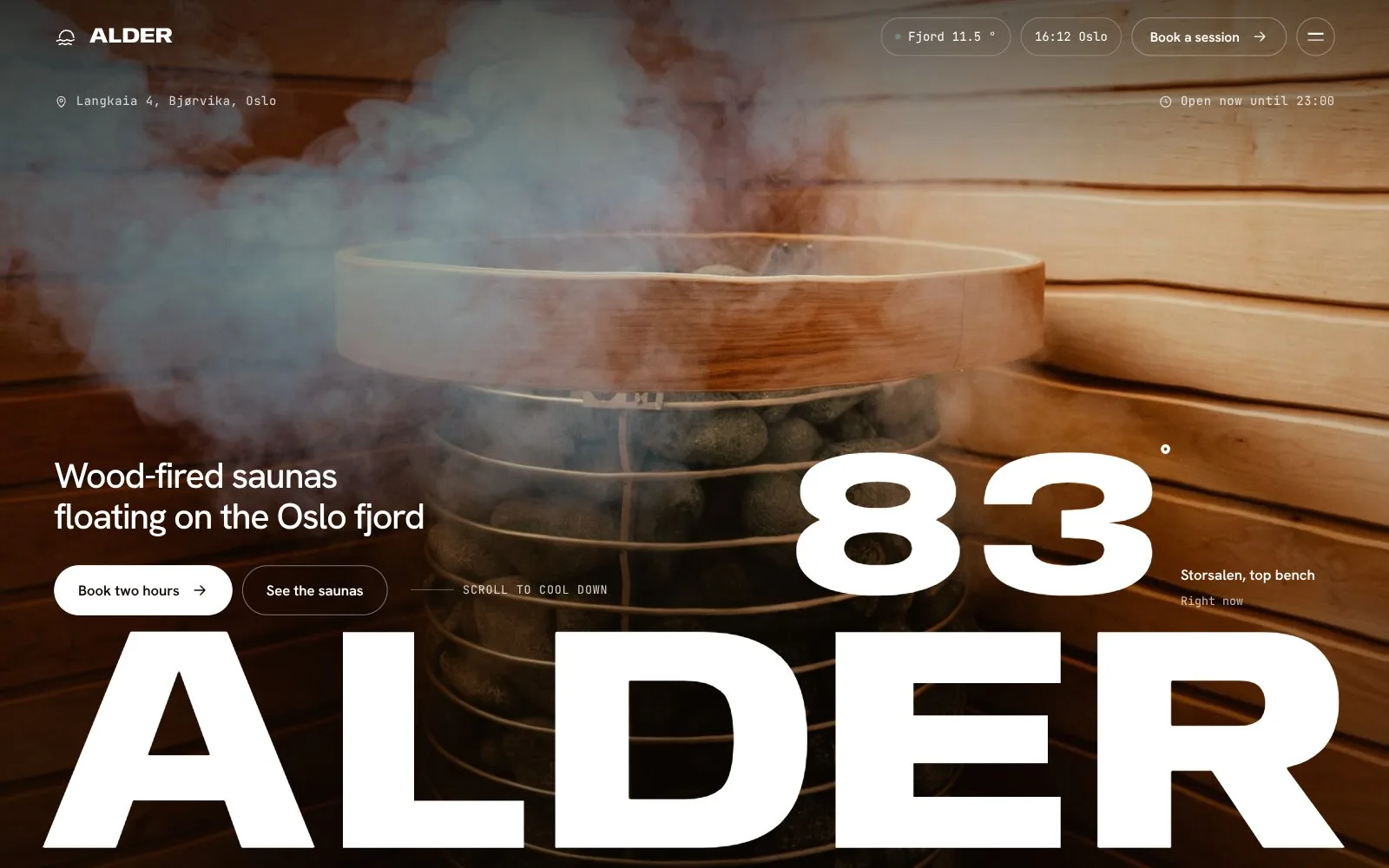 Alder: first screen of the homepage