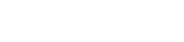 BRISCA logo