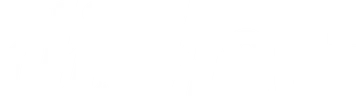Dishout logo