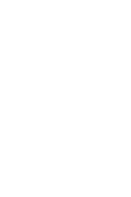 STRIHA logo
