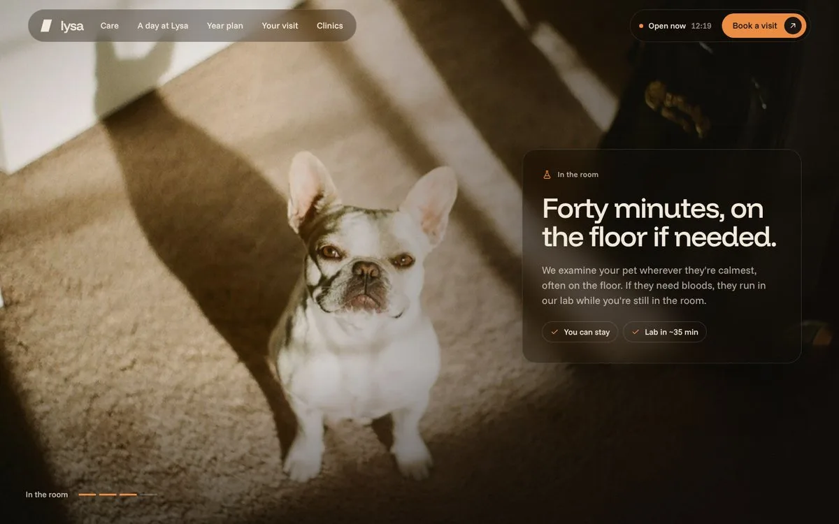 Lysa: Visit steps as full-screen scenes with glass cards