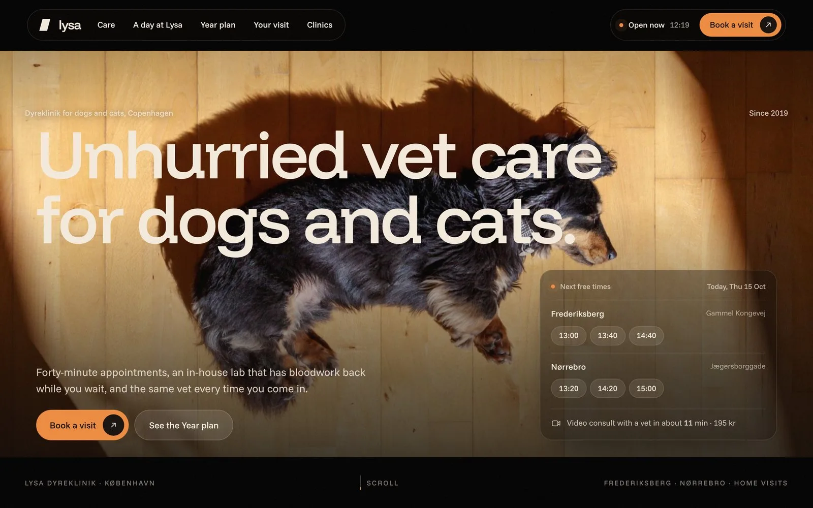 Lysa: first screen of the homepage