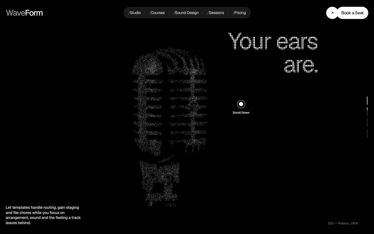 WaveForm: Particles shaped into a vintage microphone
