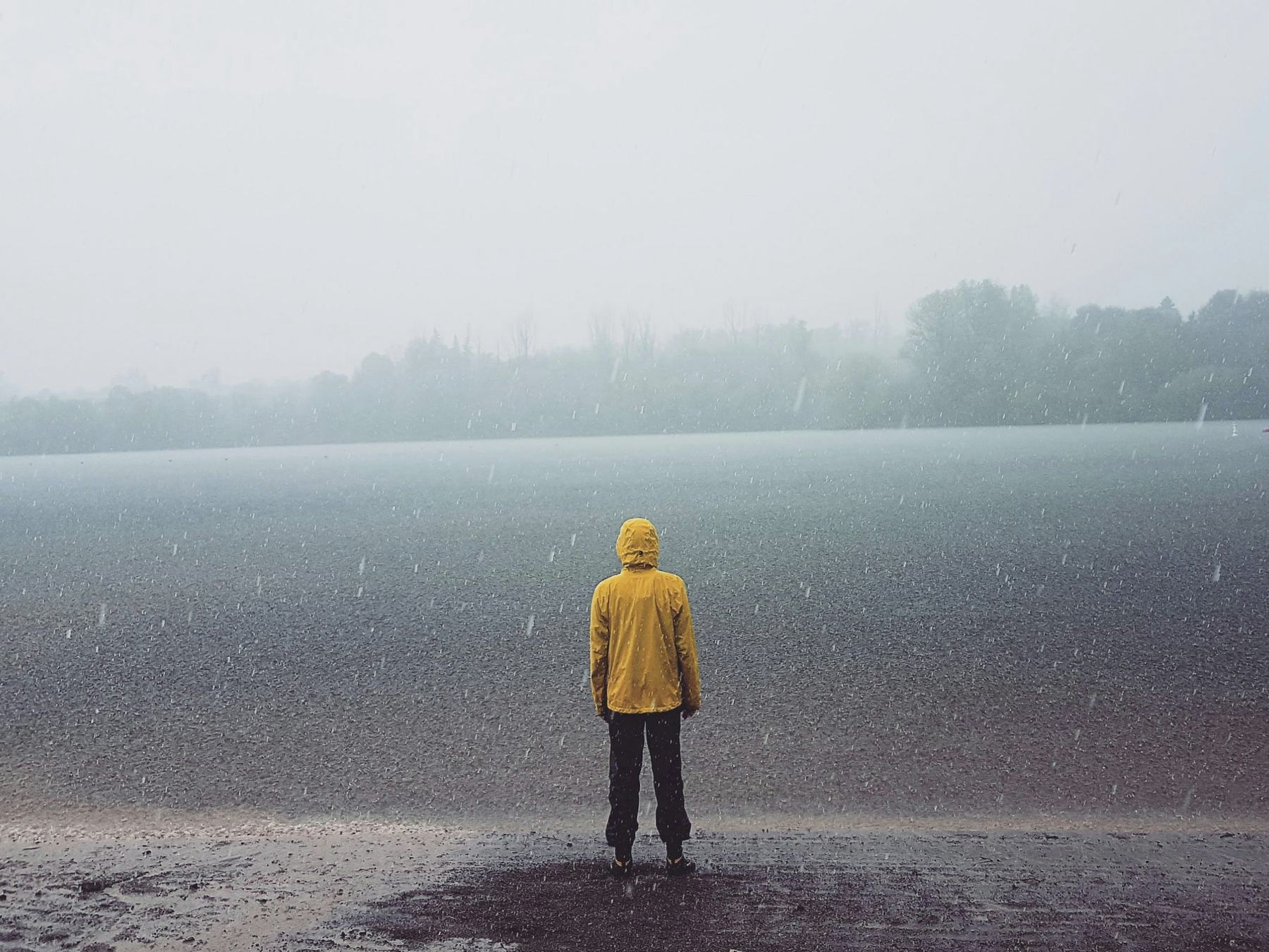 A small figure on a misty shore