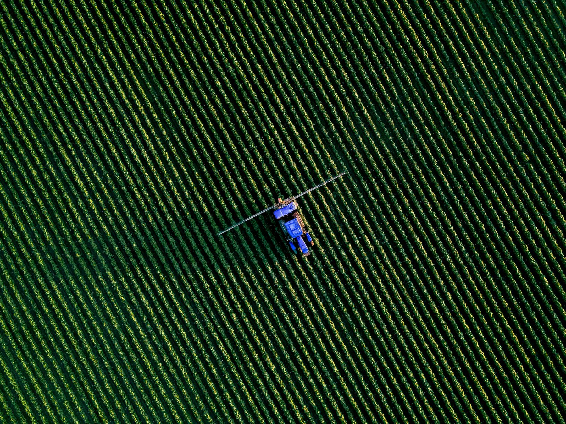 Sprayer crossing a dark green field seen from above
