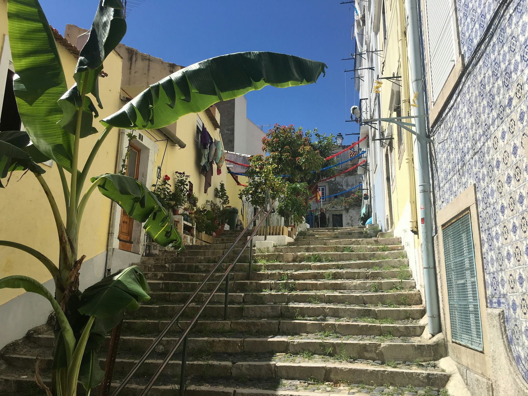 Stepped street with banana plants and tiled façades